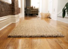 Energy Efficiency Tip and Facts