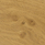 Irish Oak