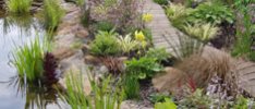 world group landscaping